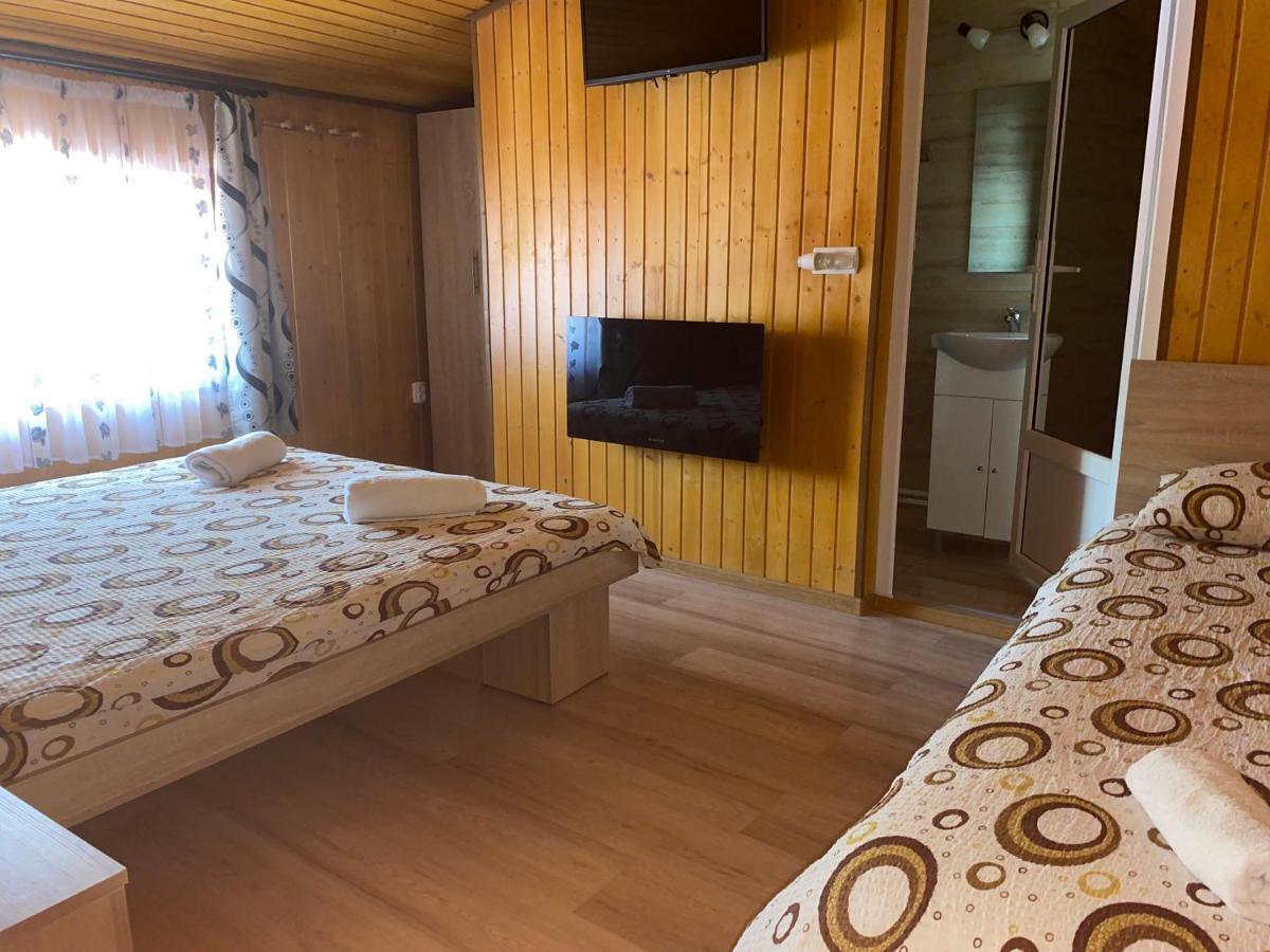 Hotel Casa Blendea Daniela à Cîrţişoara Extérieur photo