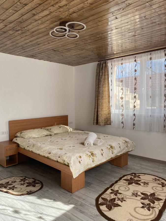 Hotel Casa Blendea Daniela à Cîrţişoara Extérieur photo